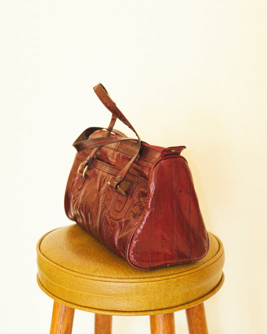 Eel Skin Handbag