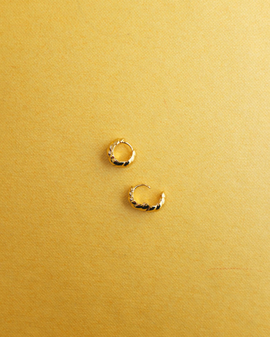 Carter Croissant Hoops