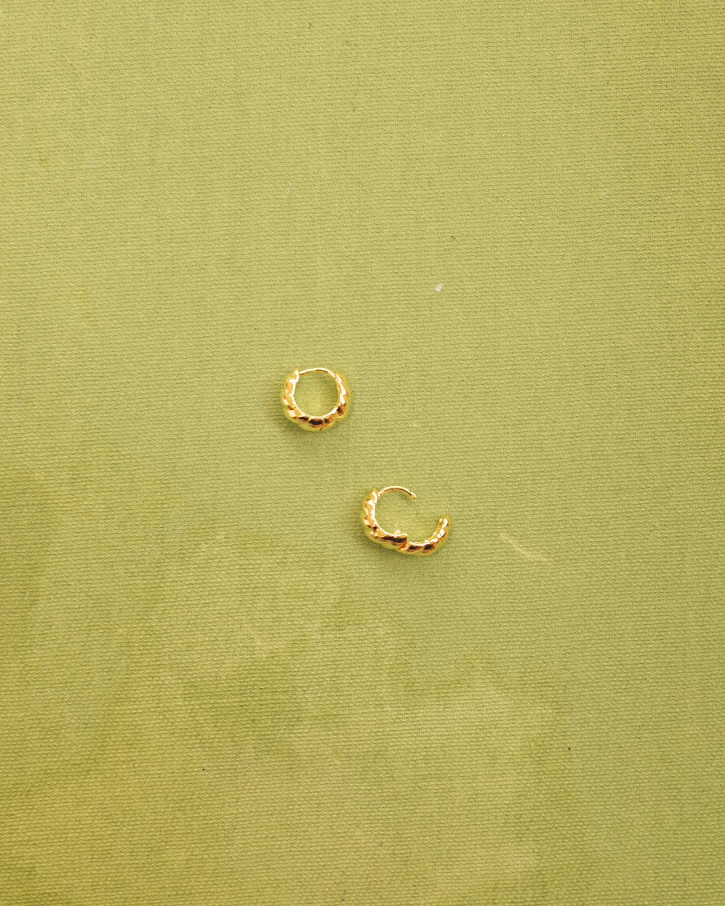 Carter Croissant Hoops
