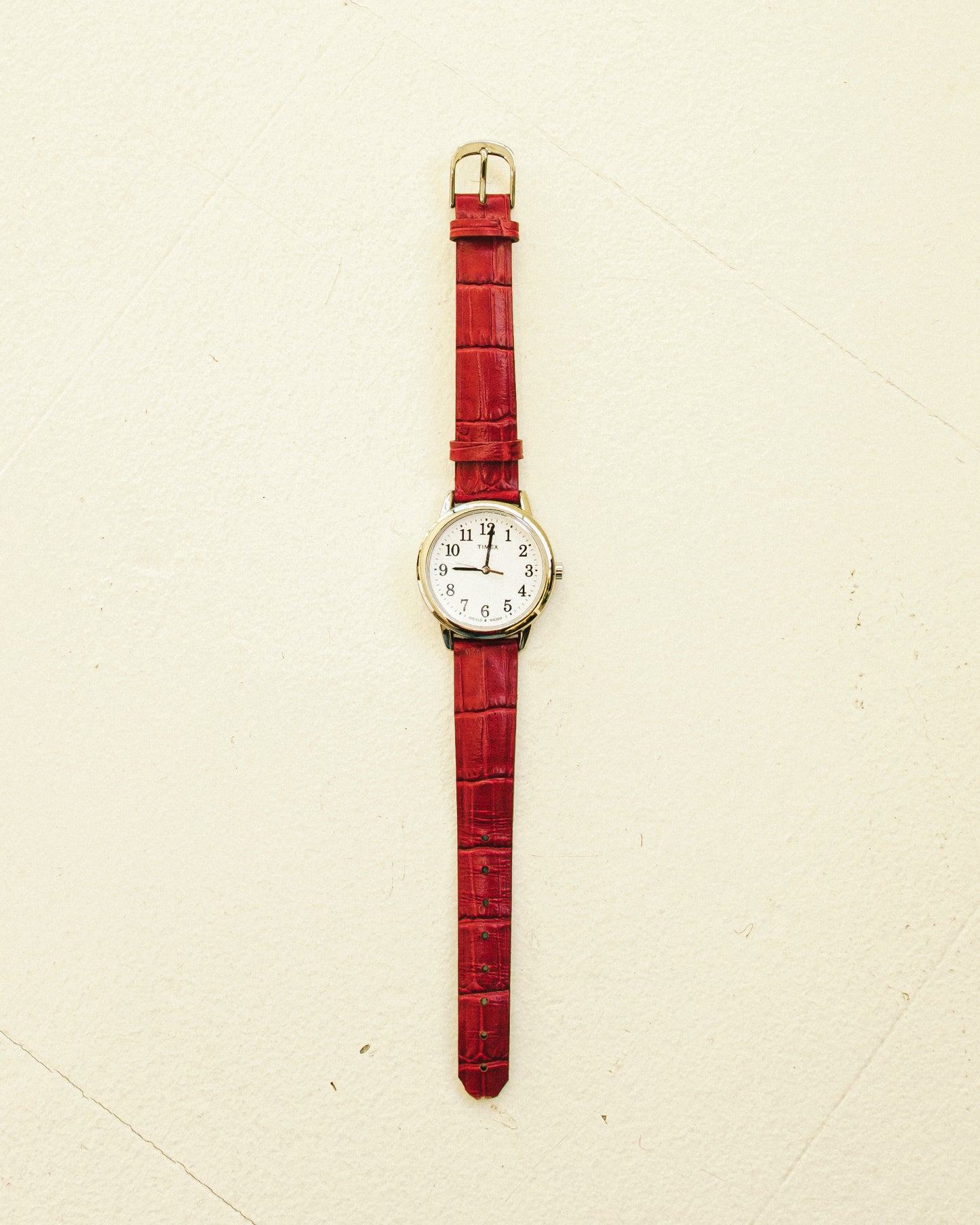 Timex Cherry Croc Watch