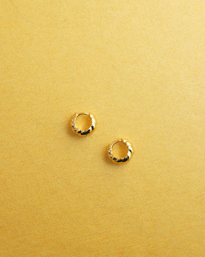 Carter Croissant Hoops