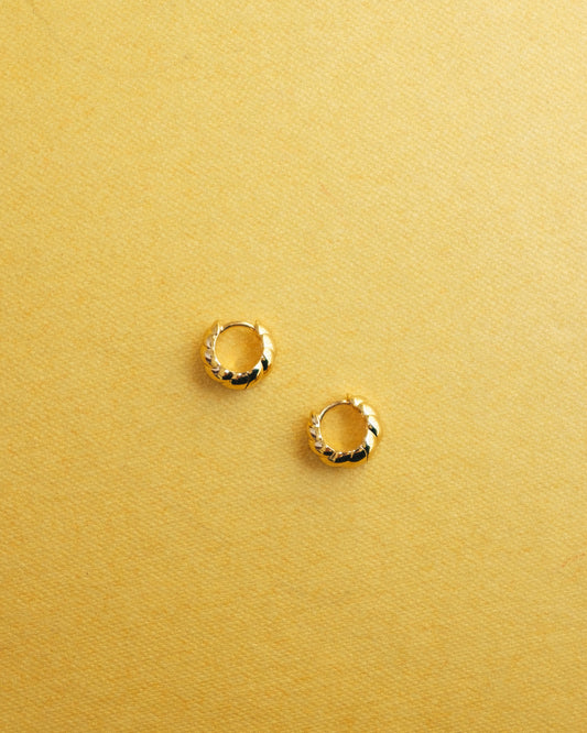 Carter Croissant Hoops