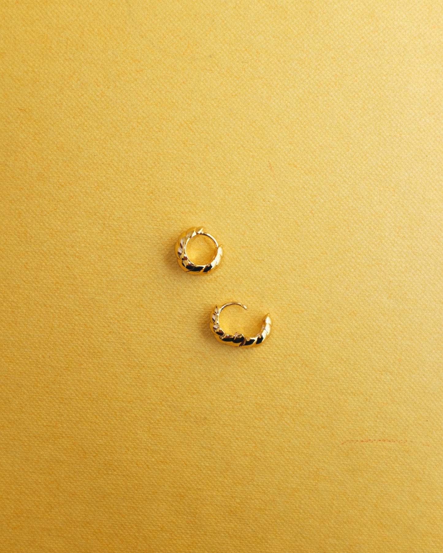 Carter Croissant Hoops