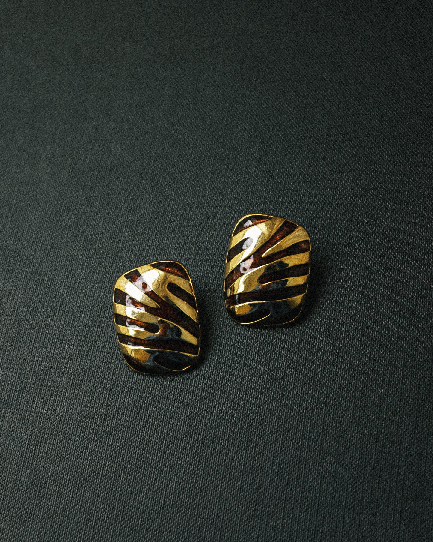 Resin Stripe Earrings
