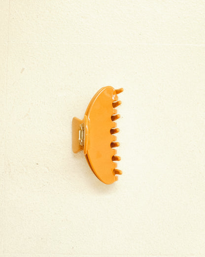 Citrus Hair Claw