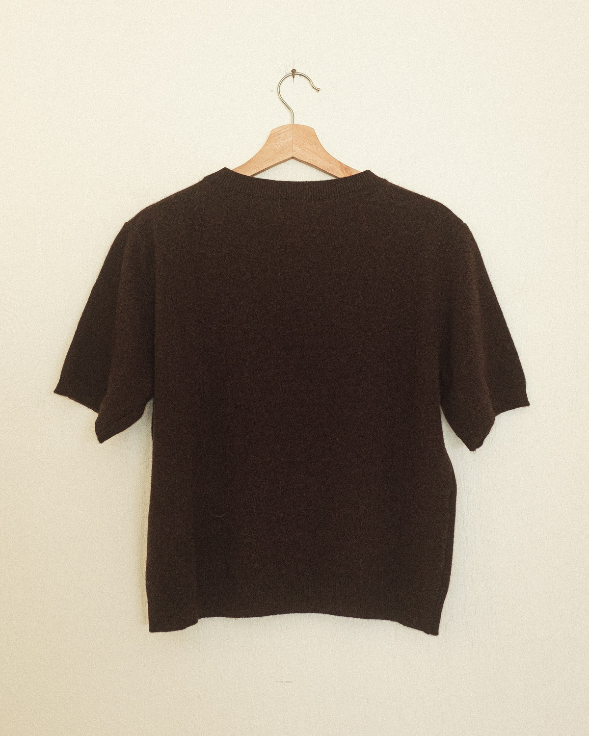 Wool Sweater Tee: Walnut