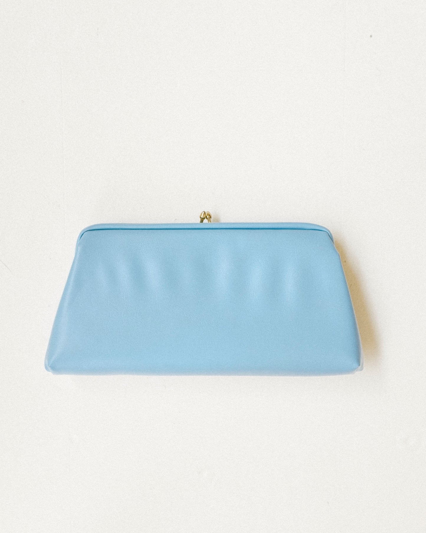 Baby Blue Clutch