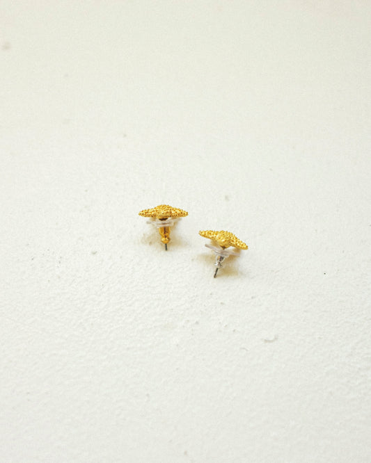 Sea Star Earrings