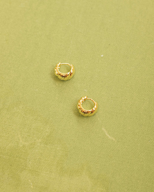 Carter Croissant Hoops