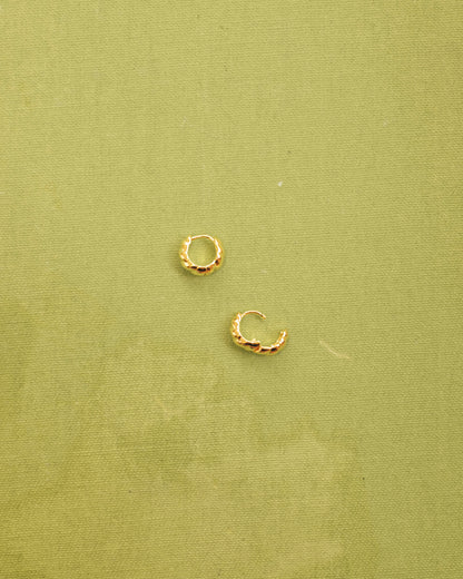 Carter Croissant Hoops