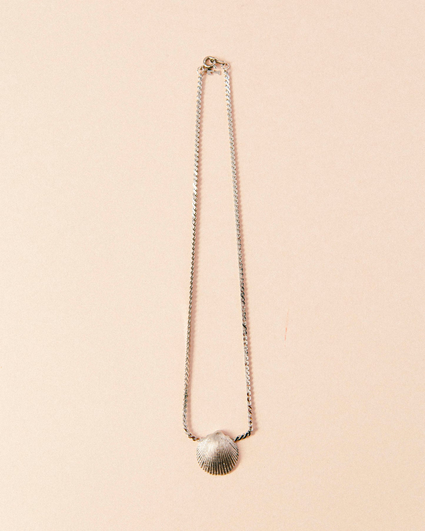 Collier de coquillages en argent