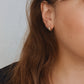 Carter Croissant Hoops