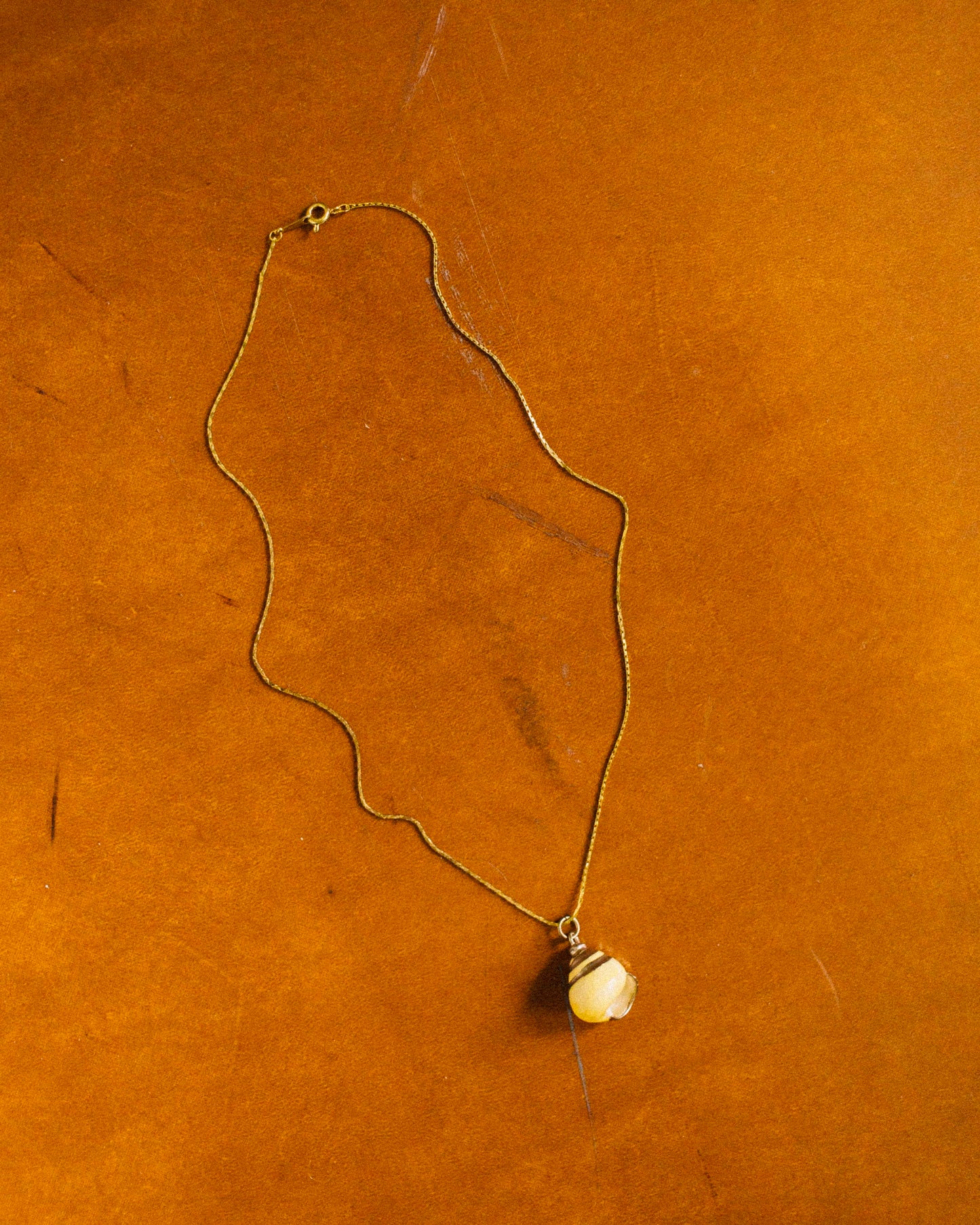Golden Seashell Necklace